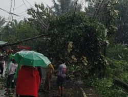 Jalan Lintas Bengkulu-Manna Macet, Akibat Tanah Longsor di Seluma