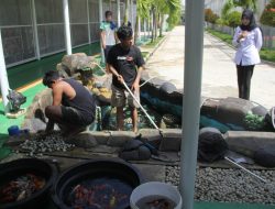 WBP Lapas Bengkulu Cipta Keindahan Kolam Ikan Dengan Aksi Bersih-Bersih