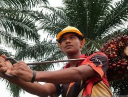 16 Warga Rejang Lebong jadi PMI di 4 negara selama Oktober-November