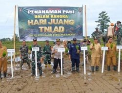 Peringati Hari Juang TNI AD, Dandim 0423 BU Nanam Padi Bersama Masyarakat Kemumu