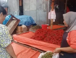 Harga Cabai Di Bengkulu Naik, Pedagang Sebut Kurang Pasokan