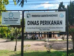 Tingkatkan Praktik Perikanan, Dinas Perikanan Mukomuko Dukung Pelatihan Modifikasi Alat Tangkap Ikan