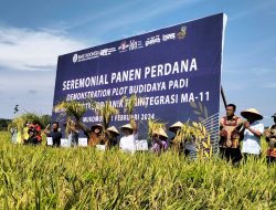 Kadis Pertanian Mukomuko Dorong Petani Organik Khususnya Tanaman Pangan