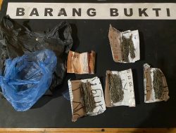 Jual Narkotika Jenis Ganja, Pemuda Empat Lawang di Tangkap Polisi