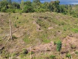 Kewalahan Jaga Kawasan Hutan, Berikut Alasan DLHK Provinsi Bengkulu
