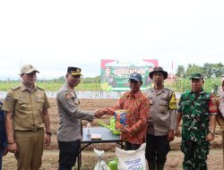 Polresta Bengkulu Hadiri Penanaman Bibit Jagung