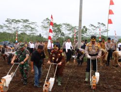 Polres Lebong Apresiasi Tanam Jagung Serentak 1 Juta Hektar