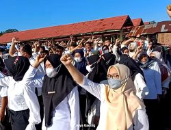 Simalakama, Dilema Honorer DIpemkab Seluma Yang Dihadapkan Oleh 2 Pilihan