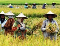 DKPP Bengkulu Tengah Siap Sukseskan Program Swasembada Pangan