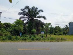 Jembatan Timbang di Desa Sukamenanti Kaur Dibangun Tahun 2026, Saat Ini Sedang Proses Perencanaan