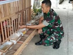 Kodim 0408 BS Ikut Bantu Sukseskan Program Ketahanan Pangan