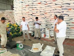 Stok Beras Perum Bulow Rejang Lebong Cukup Untuk 4 Bulan Kedepan