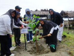 Hari Bakti Rimbawan ke-42: Tanam Ketapang dan Cemara Laut untuk Kelestarian Pantai Panjang