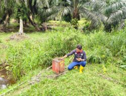 Wilayah Padang Genting, PT. Agri Andalas Diduga Garap Lahan di Luar HGU