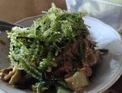 Kuliner Unik Jepara, Pecel Latoh Menyajikan Sejenis Tanaman Laut