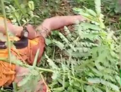 Warga Kampung Melayu di Hebohkan, Adanya Penemuan Mayat Seorang Pria Dipinggir Rawa