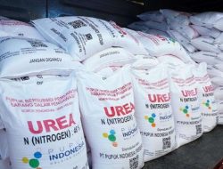 Dinas Pertanian Seluma Mengklaim Kebutuhan Pupuk Subsidi Tahun Ini Aman