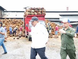 Pasca di Datangi Wagub Mian, Harga TBS di Mukomuko Terus Naik