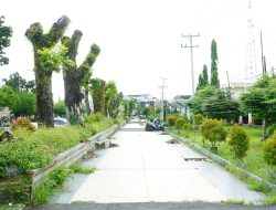 Walikota Bengkulu Glontorkan Rp 10,8 Miliar, Untuk Rehabilitasi Kawasan Jalan S Supratman Lebih Rapi dan Indah