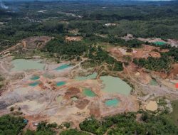 Ormas Pijar Institute Bengkulu Kecam Penambangan Emas di Seluma Dari Sudut Pandang Ancaman Bahaya