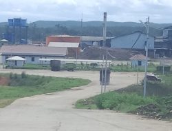 Pemprov Bengkulu Kecewa PKS Masih Beli TBS Sawit Dibawah Harga Ketetapan Pemerintah