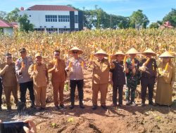 Bupati Bersama Kapolres Mukomuko Kompak Awasi Distribusi Pupuk Subsidi Untuk Petani