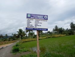 Pembangunan Fisik Tahun 2024, Peningkatan Jalan Usaha Tani Desa Suka Merindu Kepahiang Diduga Dikerjakan Asal Jadi Jalan