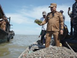 Wakil Bupati Asahan Tabur Benih Kerang Dara, Guna Membantu Tingkatkan Ekonomi Nelayan Di Desa Silo Baru