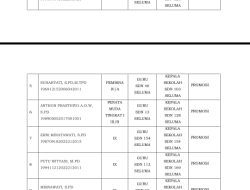 Aroma Nepotisme Sudah Mulai Tercium, Istri Anggota DPRD Seluma 2 Tahun Diangkat P3K Diusulkan Jadi Kepsek