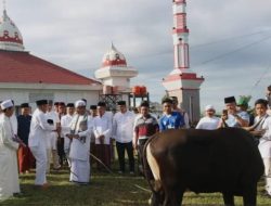 Berbeda Dengan Tahun Sebelumnya, H-10 Pemda Seluma Belum Siapkan Hewan Kurban