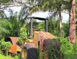 Bupati Seluma Tinjau Alat Berat Dinas PUPR Yang Mangkrak dan Rusak