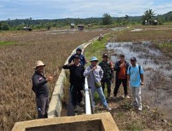 Tim Survei Investigasi Desain Optimalisasi Lahan Sawah Mulai Turun di Mukomuko