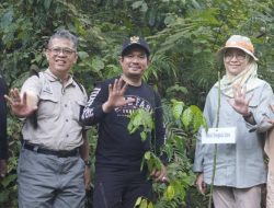 Bupati Bengkulu Utara Bersama Direktur Pengembangan Usaha Perhutanan Sosial Tanam Bibit Pohon Asuh