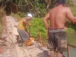Jembatan Ambruk, Tukang Ojek Sawit Nyemplung ke Sungai Seluma