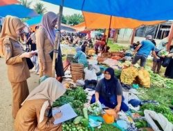 Terpantau Diseluma, Harga Cabai Tembus Rp 45 Ribu per Kilo Gram