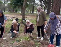 Walikota Dedi Wahyudi Kerahkan Seluruh OPD Pemkot Bengkulu Untuk Gotong Royong Bersihkan Pantai Panjang