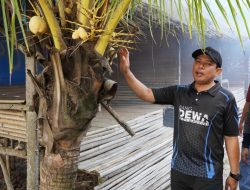 GEMPALA, Program Walikota Bengkulu Siap Pecahkan Rekor Dunia